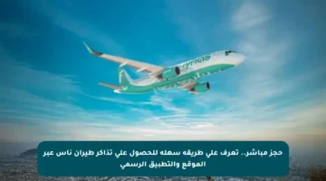 حجز مباشر.. تعرف على طريقة سهلة للحصول على تذاكر طيران ناس عبر الموقع والتطبيق الرسمي